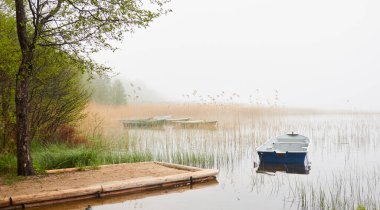 Orman gölüne demir atmış küçük bir balıkçı teknesi. Sis, yağmur. Sudaki yansımalar. Ulaşım, geleneksel zanaat, eğlence, boş zaman aktivitesi, sağlıklı yaşam tarzı, yerel turizm teması. Bahar manzarası