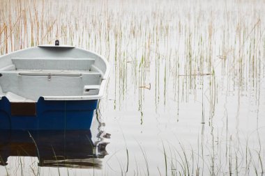 Orman gölüne demir atmış küçük bir balıkçı teknesi. Sis, yağmur. Sudaki yansımalar. Ulaşım, geleneksel zanaat, eğlence, boş zaman aktivitesi, sağlıklı yaşam tarzı, yerel turizm teması. Bahar manzarası