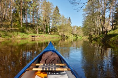 Irbe nehrinde kano gezintisi. Kurzeme, Letonya. Orman. Güçlü ağaçlar, sudaki yansımalar. Doğa, ekoloji, çevre turizmi, yürüyüş, boş zaman aktivitesi, tekne gezisi, kürek çekme, spor, sağlıklı yaşam tarzı, seyahat tutkusu.