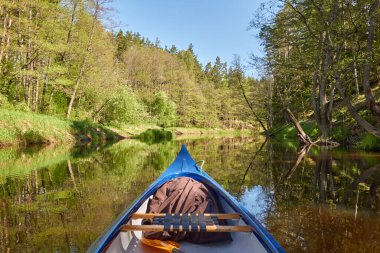 Irbe nehrinde kano gezintisi. Kurzeme, Letonya. Orman. Güçlü ağaçlar, sudaki yansımalar. Doğa, ekoloji, çevre turizmi, yürüyüş, boş zaman aktivitesi, tekne gezisi, kürek çekme, spor, sağlıklı yaşam tarzı, seyahat tutkusu.