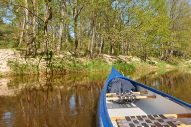 Irbe nehrinde kano gezintisi. Kurzeme, Letonya. Orman. Güçlü ağaçlar, sudaki yansımalar. Doğa, ekoloji, çevre turizmi, yürüyüş, boş zaman aktivitesi, tekne gezisi, kürek çekme, spor, sağlıklı yaşam tarzı, seyahat tutkusu.