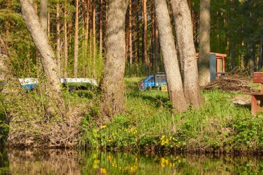 Eğlence alanı ve orman parkındaki dinlenme alanı. Irbe Nehri, Kurzeme, Letonya. Doğa, ekoloji, eko turizm, spor, sağlıklı yaşam tarzı, seyahat tutkusu, yürüyüş, keşif