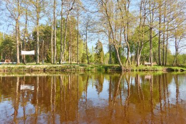 Eğlence alanı ve orman parkındaki dinlenme alanı. Irbe Nehri, Kurzeme, Letonya. Doğa, ekoloji, eko turizm, spor, sağlıklı yaşam tarzı, seyahat tutkusu, yürüyüş, keşif