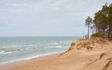 Yağmurdan sonra Baltık kıyıları. Kum tepeleri, kum tepeleri, yalnız çam ağaçları. Mavi gökyüzü, parlayan bulutlar, rüzgar. Resimli panoramik manzara. Doğa, çevre, değişken hava, kasırga