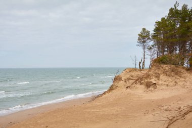 Yağmurdan sonra Baltık kıyıları. Kum tepeleri, kum tepeleri, yalnız çam ağaçları. Mavi gökyüzü, parlayan bulutlar, rüzgar. Resimli panoramik manzara. Doğa, çevre, değişken hava, kasırga