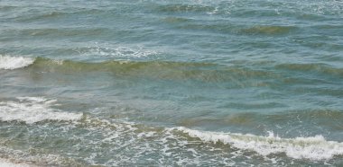 Baltık kıyısı. Dalgalar ve su sıçramaları, köpük. Deniz Burnu. Avrupa. Kararsız hava, iklim değişikliği, doğa, ekoloji