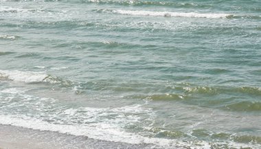 Baltık kıyısı. Dalgalar ve su sıçramaları, köpük. Deniz Burnu. Avrupa. Kararsız hava, iklim değişikliği, doğa, ekoloji