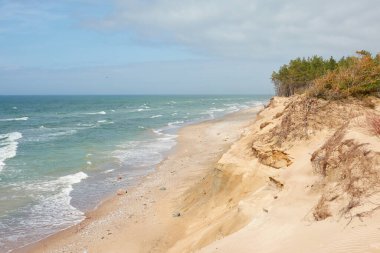 Güneşli bir günde Baltık Denizi kıyısı. Kum tepeleri, kum tepeleri, yalnız çam ağaçları. Mavi gökyüzü, parlayan bulutlar, rüzgar. Resimli panoramik hava manzarası. Doğa, çevre, değişken hava, kasırga