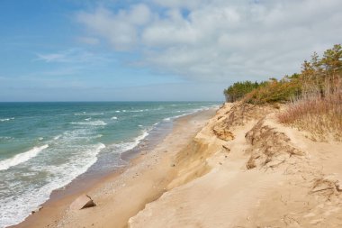 Güneşli bir günde Baltık Denizi kıyısı. Kum tepeleri, kum tepeleri, yalnız çam ağaçları. Mavi gökyüzü, parlayan bulutlar, rüzgar. Resimli panoramik hava manzarası. Doğa, çevre, değişken hava, kasırga