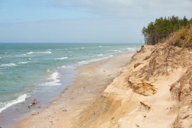 Güneşli bir günde Baltık Denizi kıyısı. Kum tepeleri, kum tepeleri, yalnız çam ağaçları. Mavi gökyüzü, parlayan bulutlar, rüzgar. Resimli panoramik hava manzarası. Doğa, çevre, değişken hava, kasırga