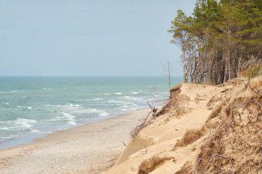 Yağmurdan sonra Baltık kıyıları. Kum tepeleri, kum tepeleri, yalnız çam ağaçları. Mavi gökyüzü, parlayan bulutlar, rüzgar. Resimli panoramik manzara. Doğa, çevre, değişken hava, kasırga