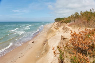 Güneşli bir günde Baltık Denizi kıyısı. Kum tepeleri, kum tepeleri, yalnız çam ağaçları. Mavi gökyüzü, parlayan bulutlar, rüzgar. Resimli panoramik hava manzarası. Doğa, çevre, değişken hava, kasırga