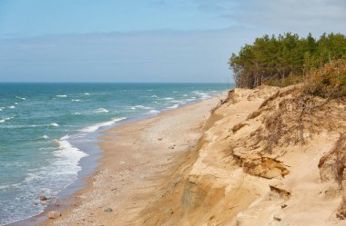 Güneşli bir günde Baltık Denizi kıyısı. Kum tepeleri, kum tepeleri, yalnız çam ağaçları. Mavi gökyüzü, parlayan bulutlar, rüzgar. Resimli panoramik hava manzarası. Doğa, çevre, değişken hava, kasırga