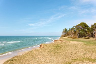 Yağmurdan sonra Baltık kıyıları. Kum tepeleri, kum tepeleri, yalnız çam ağaçları. Mavi gökyüzü, parlayan bulutlar, rüzgar. Resimli panoramik manzara. Doğa, çevre, değişken hava, kasırga