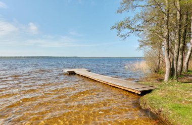 Orman nehri (göl) güneşli bir günde. Ahşap iskele. Güçlü ağaç. Idyllic manzara, kırsal manzara. Doğa, ekoloji, eko-turizm, yürüyüş, ekoloji beldesi, yerel turizm
