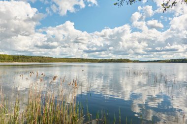 Kristal berrak bir orman gölü (nehir) kıyısından panoramik manzara. Idyllic manzara. İlkbahar, yazın başı. Doğa, çevre, ekoloji, eko-turizm, yürüyüş, tatiller, yüzme ve rahatlatıcı temalar
