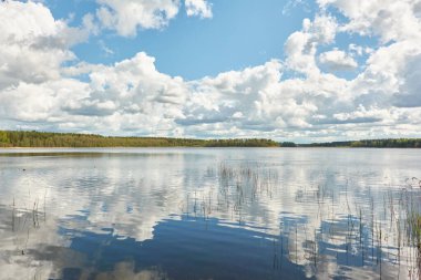 Kristal berrak bir orman gölü (nehir) kıyısından panoramik manzara. Idyllic manzara. İlkbahar, yazın başı. Doğa, çevre, ekoloji, eko-turizm, yürüyüş, tatiller, yüzme ve rahatlatıcı temalar
