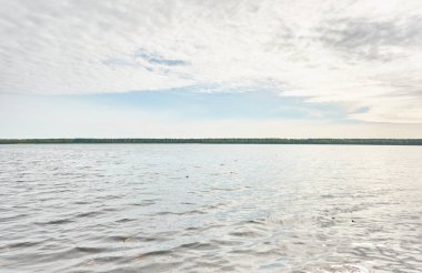 Orman gölünde bir ada (nehir). Sudaki yansımalar. Mavi gökyüzü, parlayan bulutlar. Idyllic manzara. Saf doğa, ekoloji, ekolojik rezerv, eko-turizm.