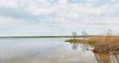 Orman gölünde bir ada (nehir). Yağmurlu bir gün. Sudaki yansımalar. Mavi gökyüzü, parlayan bulutlar. Idyllic manzara. Saf doğa, ekoloji, ekolojik rezerv, eko-turizm.