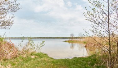 Orman gölünde bir ada (nehir). Yağmurlu bir gün. Sudaki yansımalar. Mavi gökyüzü, parlayan bulutlar. Idyllic manzara. Saf doğa, ekoloji, ekolojik rezerv, eko-turizm.