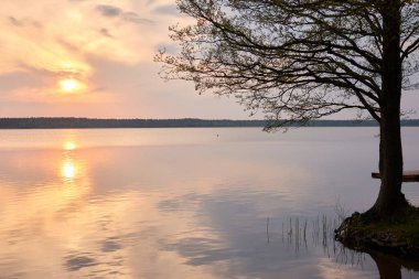 Gün batımında Orman Gölü. Ağaç siluetleri. Yumuşak güneş ışığı, parlayan bulutlar, kristal berrak suda yansıma. Idyllic manzara. Panoramik manzara. Doğa, ekoloji, çevre turizmi. Barış ve neşe kavramları