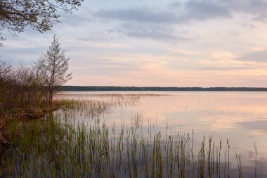 Gün batımında Orman Gölü. Ağaç siluetleri. Yumuşak güneş ışığı, parlayan bulutlar, kristal berrak suda yansıma. Idyllic manzara. Panoramik manzara. Doğa, ekoloji, çevre turizmi. Barış ve neşe kavramları
