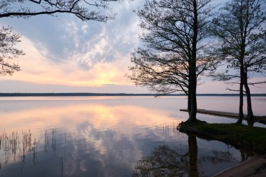 Gün batımında Orman Gölü. Ağaç siluetleri. Yumuşak güneş ışığı, parlayan bulutlar, kristal berrak suda yansıma. Idyllic manzara. Panoramik manzara. Doğa, ekoloji, çevre turizmi. Barış ve neşe kavramları