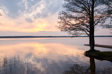 Gün batımında Orman Gölü. Ağaç siluetleri. Yumuşak güneş ışığı, parlayan bulutlar, kristal berrak suda yansıma. Idyllic manzara. Panoramik manzara. Doğa, ekoloji, çevre turizmi. Barış ve neşe kavramları