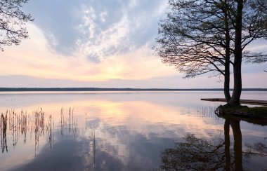 Gün batımında Orman Gölü. Ağaç siluetleri. Yumuşak güneş ışığı, parlayan bulutlar, kristal berrak suda yansıma. Idyllic manzara. Panoramik manzara. Doğa, ekoloji, çevre turizmi. Barış ve neşe kavramları