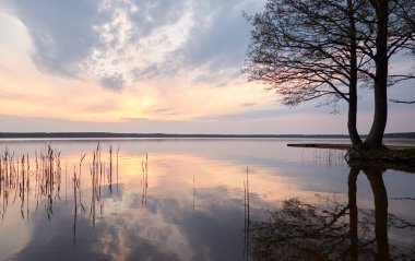 Gün batımında Orman Gölü. Ağaç siluetleri. Yumuşak güneş ışığı, parlayan bulutlar, kristal berrak suda yansıma. Idyllic manzara. Panoramik manzara. Doğa, ekoloji, çevre turizmi. Barış ve neşe kavramları