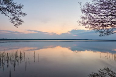 Gün batımında Orman Gölü. Ağaç siluetleri. Yumuşak güneş ışığı, parlayan bulutlar, kristal berrak suda yansıma. Idyllic manzara. Panoramik manzara. Doğa, ekoloji, çevre turizmi. Barış ve neşe kavramları
