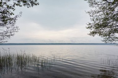 Orman Gölü. Kasvetli gökyüzü, yağmur. Bulutlu bir gün. İlkbahar, yazın başı. Idyllic manzara, kırsal manzara. Doğa, ekoloji, eko-turizm, yürüyüş, ekolojik tatil beldesi, yerel seyahat