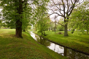 Orman parkındaki küçük nehir (kanal). Güçlü yeşil yapraklı ağaçlar, kır çiçekleri, bitkiler. Altın güneş ışığı. Idyllic yaz manzarası. Doğa, ekoloji. Eko-turizm, yürüyüş. Bisiklet, kuzey yürüyüşü