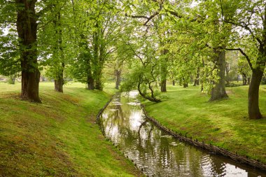 Orman parkındaki küçük nehir (kanal). Güçlü yeşil yapraklı ağaçlar, kır çiçekleri, bitkiler. Altın güneş ışığı. Idyllic yaz manzarası. Doğa, ekoloji. Eko-turizm, yürüyüş. Bisiklet, kuzey yürüyüşü