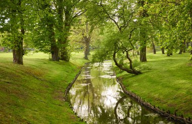 Orman parkındaki küçük nehir (kanal). Güçlü yeşil yapraklı ağaçlar, kır çiçekleri, bitkiler. Altın güneş ışığı. Idyllic yaz manzarası. Doğa, ekoloji. Eko-turizm, yürüyüş. Bisiklet, kuzey yürüyüşü
