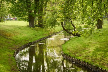 Orman parkındaki küçük nehir (kanal). Güçlü yeşil yapraklı ağaçlar, kır çiçekleri, bitkiler. Altın güneş ışığı. Idyllic yaz manzarası. Doğa, ekoloji. Eko-turizm, yürüyüş. Bisiklet, kuzey yürüyüşü