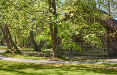 Eski köy ahşap evi (kütük kulübe). Köy. Orman çimleri, bahçe. Bahar manzarası. Kırsal alan. Geleneksel mimari, otantik stil, tatiller, uzak yerler, vites küçültme, yaşam tarzı temaları