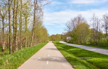 Orman parkından geçen bisiklet yolu. İlkbahar, yazın başı. Doğa, çevre turizmi, yürüyüş, koşu, bisiklet, spor, eğlence aktivitesi, sağlıklı yaşam tarzı kavramları