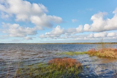 Güneşli bir günde, bir orman gölünde (nehir) bir ada. Sudaki yansımalar. Mavi gökyüzü, parlayan bulutlar. Idyllic manzara. Saf doğa, ekoloji, ekolojik rezerv, eko-turizm.