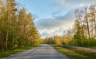 Orman parkından geçen bisiklet yolu. İlkbahar, yazın başı. Doğa, çevre turizmi, yürüyüş, koşu, bisiklet, spor, eğlence aktivitesi, sağlıklı yaşam tarzı kavramları