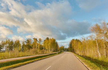 Orman parkından geçen bisiklet yolu. İlkbahar, yazın başı. Doğa, çevre turizmi, yürüyüş, koşu, bisiklet, spor, eğlence aktivitesi, sağlıklı yaşam tarzı kavramları