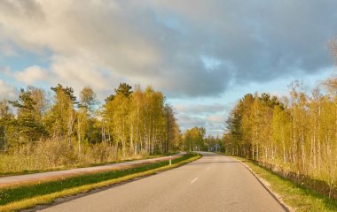 Orman parkından geçen bisiklet yolu. İlkbahar, yazın başı. Doğa, çevre turizmi, yürüyüş, koşu, bisiklet, spor, eğlence aktivitesi, sağlıklı yaşam tarzı kavramları