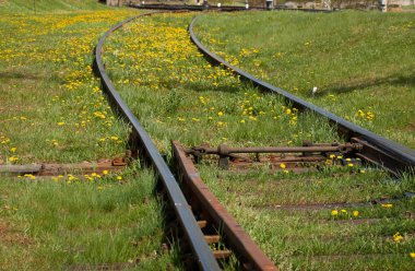 Demiryolu. Yeşil çimenler ve çiçekler şehir manzarası kavramları. Yük taşımacılığı, küresel iletişim, çevre, ekolojik hasar temaları
