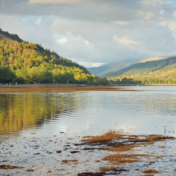 Skaliste Jezioro Brzeg Góry Las Szkocja Wielka Brytania Krajobraz Atmosferyczny — Zdjęcie stockowe