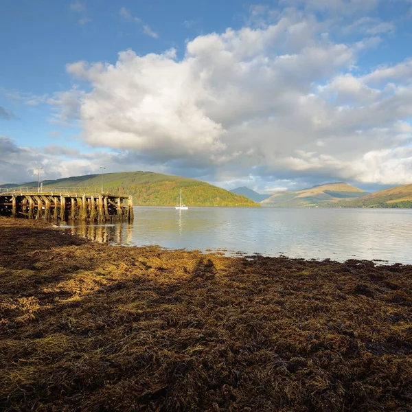 Skaliste Jezioro Brzeg Góry Las Szkocja Wielka Brytania Krajobraz Atmosferyczny — Zdjęcie stockowe