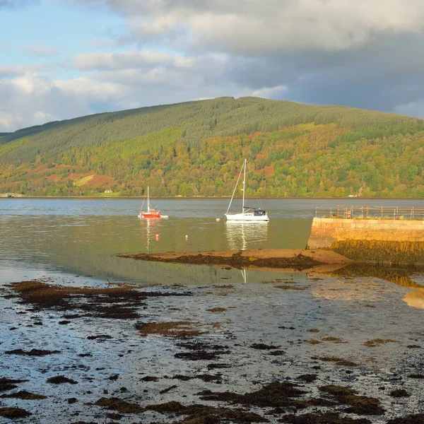 帆船停泊在湖中 雄伟的森林小山 苏格兰 大气景观 旅游目的地 生态旅游 环境保护 — 图库照片