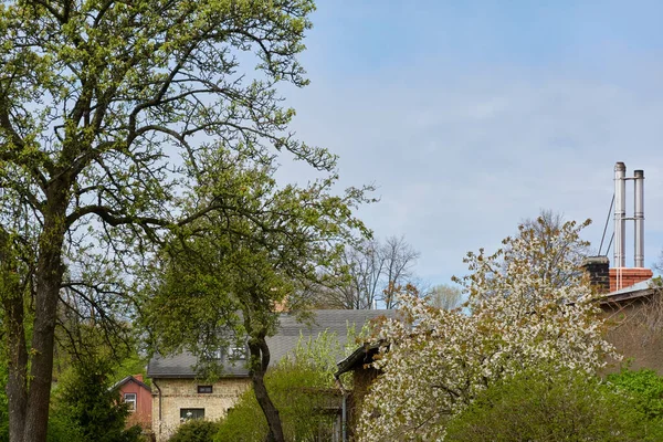 Bakgård Till Ett Modernt Lanthus Staket Turism Semester Hemmakontor Pensionat — Stockfoto