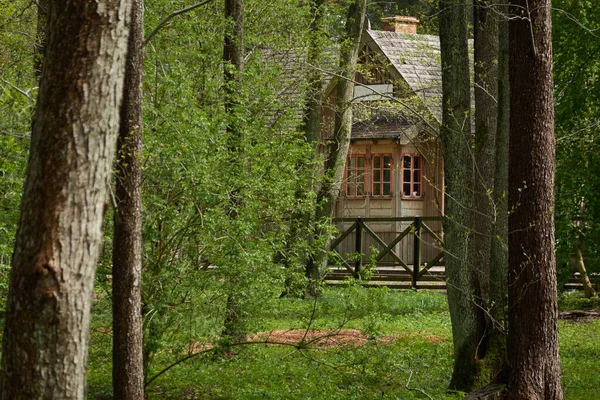공원에 아름다운 나무로 집입니다 사무실 게스트 하우스 부동산 — 스톡 사진