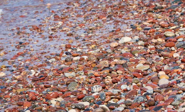 Wet pebble stones. Seashore, beach. Natural texture, background, wallpaper, pattern. Concept summer scene. Nature, environment, vacations, relaxation, meditation concepts
