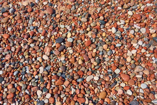 Piedras Guijarro Húmedas Orilla Del Mar Playa Textura Natural Fondo — Foto de Stock
